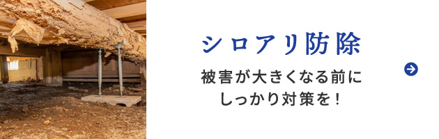 シロアリ防除