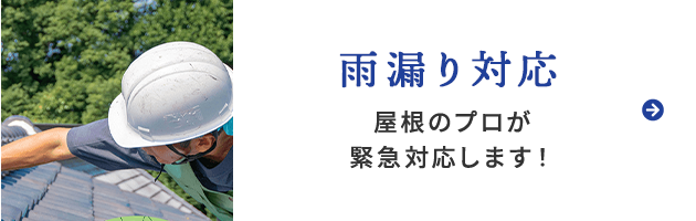 雨漏り対応