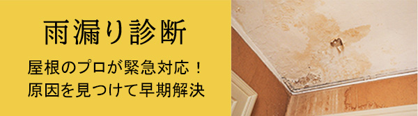 雨漏り診断