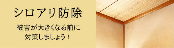 シロアリ防除