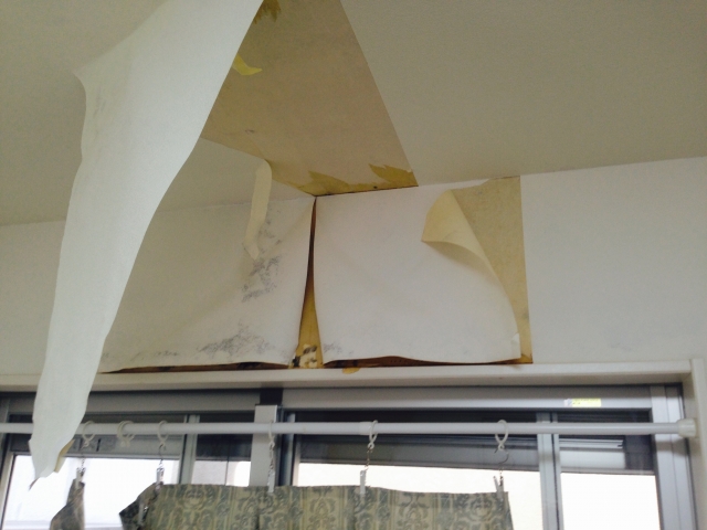 マンションやアパートの水漏れ・水濡れの修繕は火災保険の対象?適用条件や知っておくべきポイントも解説!