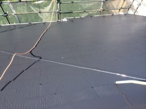 o0480036013055757263